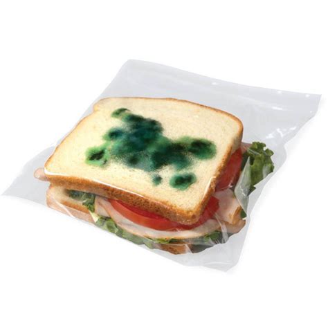 fake mold bag|moldy sandwich bag.